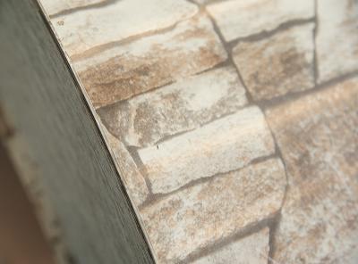 Farbbeschichtetes Galvalumeblech